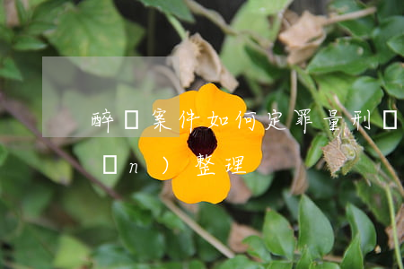 醉駕案件如何定罪量刑？審判要點(diǎn)整理